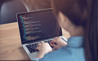 瑞安 api php源码,下载的php源码怎么运行呢？